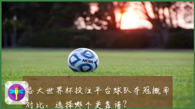 各大世界杯投注平台球队夺冠概率对比，选择哪个更靠谱？