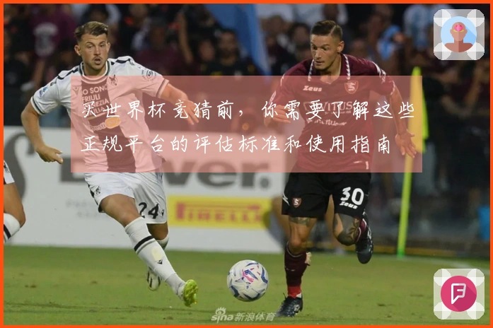 买世界杯竞猜前，你需要了解这些正规平台的评估标准和使用指南体育资讯