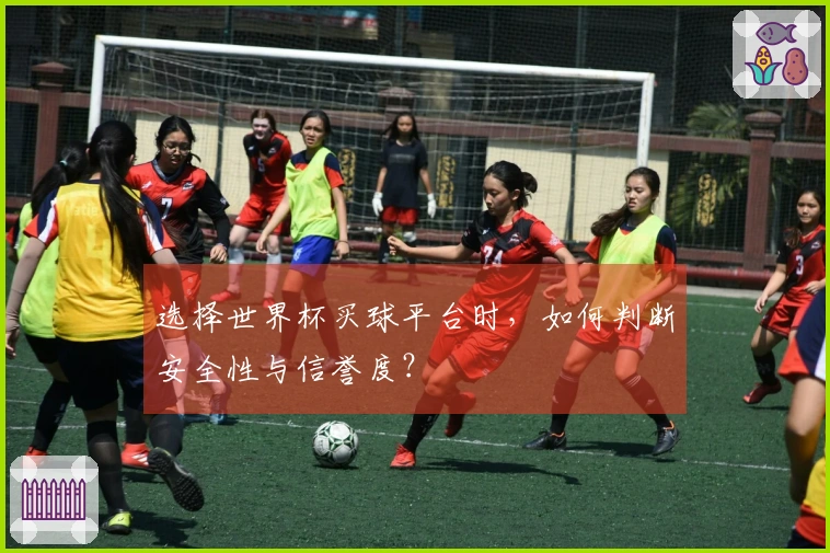 选择世界杯买球平台时，如何判断安全性与信誉度？