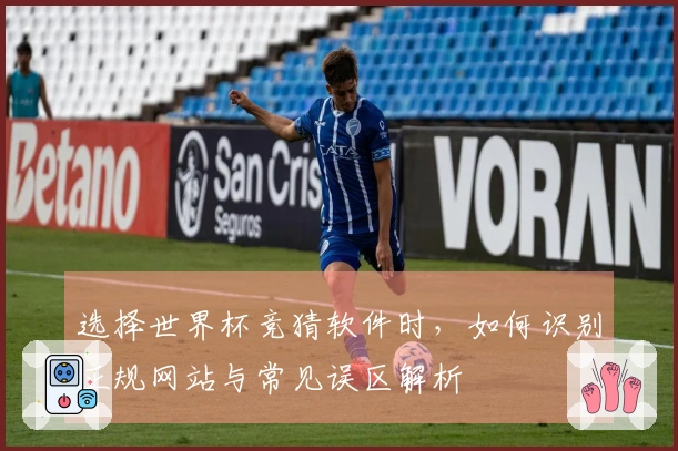 选择世界杯竞猜软件时，如何识别正规网站与常见误区解析体育资讯