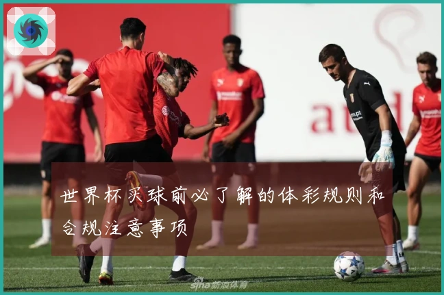 世界杯买球前必了解的体彩规则和合规注意事项