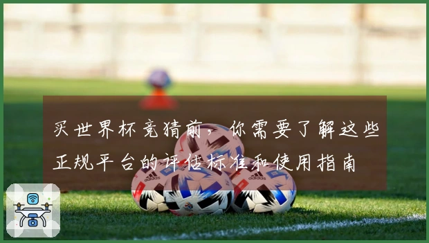 买世界杯竞猜前，你需要了解这些正规平台的评估标准和使用指南