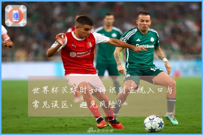 世界杯买球时如何识别正规入口与常见误区，避免风险？