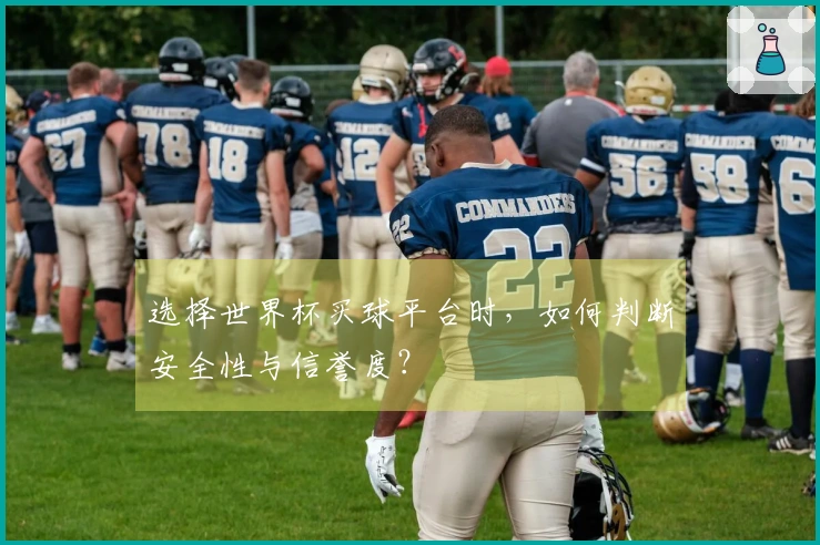 选择世界杯买球平台时，如何判断安全性与信誉度？体育资讯