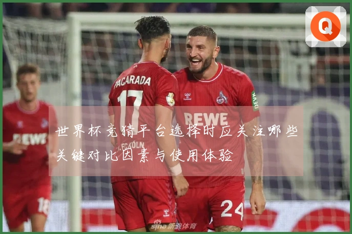 世界杯竞猜平台选择时应关注哪些关键对比因素与使用体验